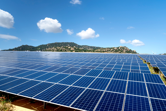 豪运国际-追求康健,你我一起生长